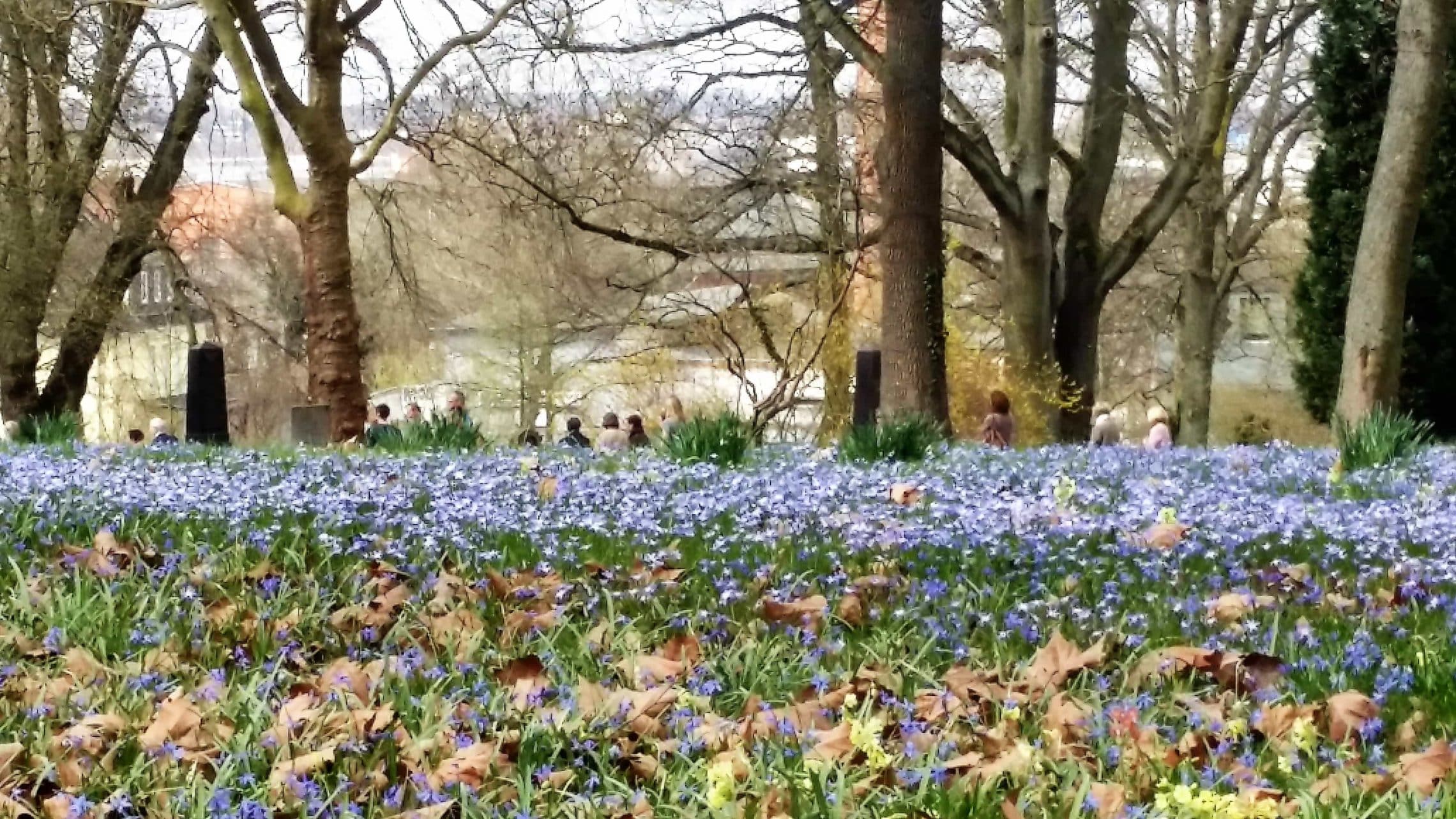„Blaues Wunder“ bei Style Hannover und in ganz Linden ***vorbei*** 20160403 140352 - „Blaues Wunder“ bei Style Hannover und in ganz Linden ***vorbei***