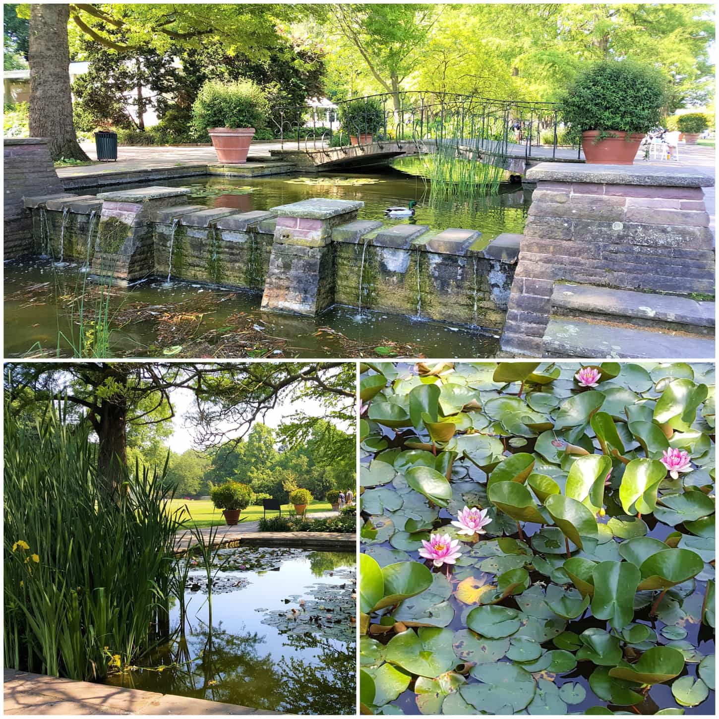 Style Hannover Stadtpark 3 - Warum in die Ferne schweifen - der Stadtpark am HCC