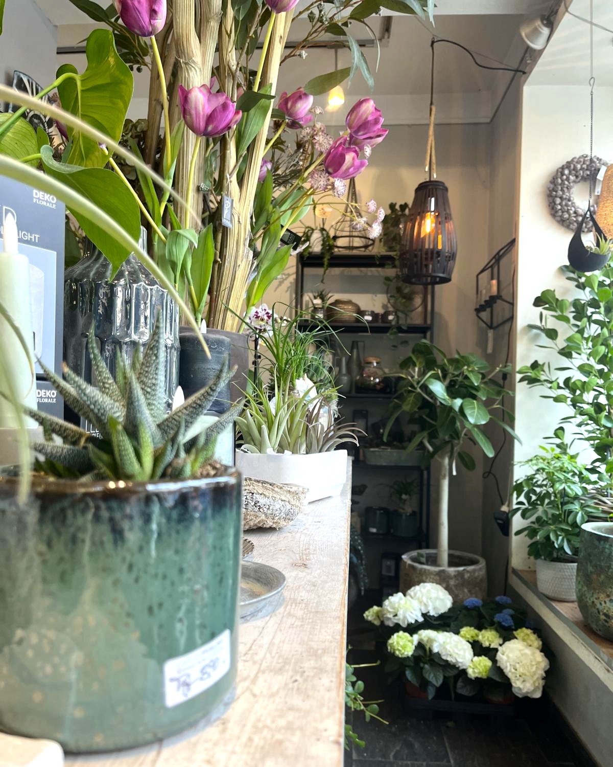 Style Hannover Gruenraum 21 - Grünraum - Blumen & Geschenke