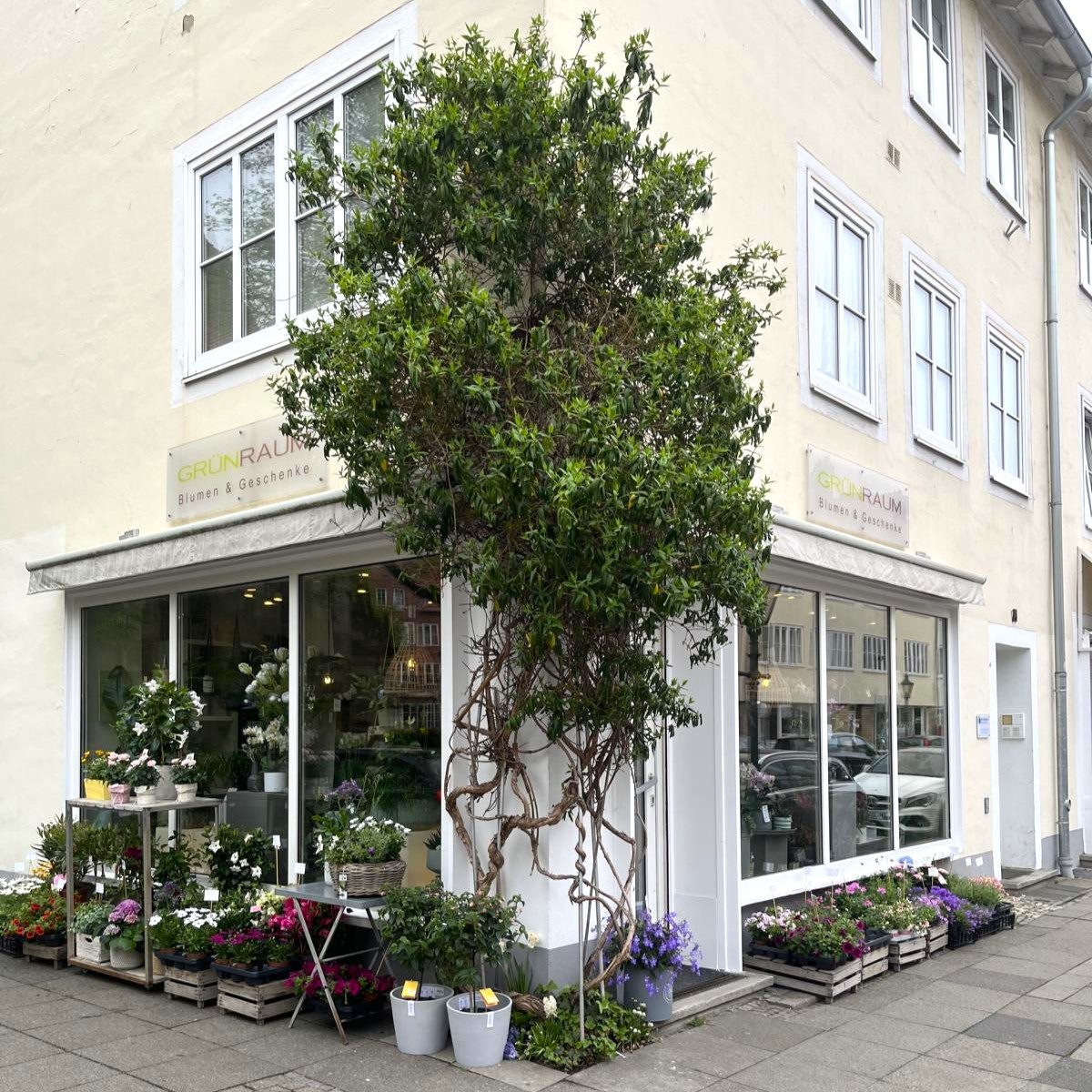 Style Hannover Gruenraum bb 45 - Dein Kiez