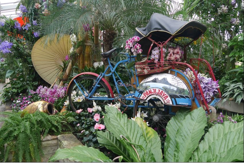 Der Berggarten im „Farbenrausch der Tropen“ – bis 24. Februar 2019 Style Hannover Farbenrausch Rikscha 01 - Der Berggarten im „Farbenrausch der Tropen“ – bis 24. Februar 2019