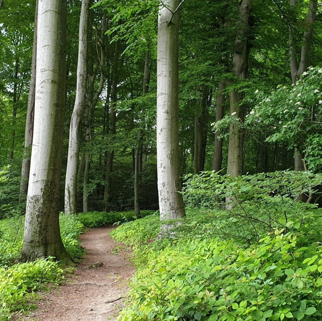 style hannover waldwinkel 7 1024x1022 - Waldwinkel - zauberhafter Ort am Benther Berg