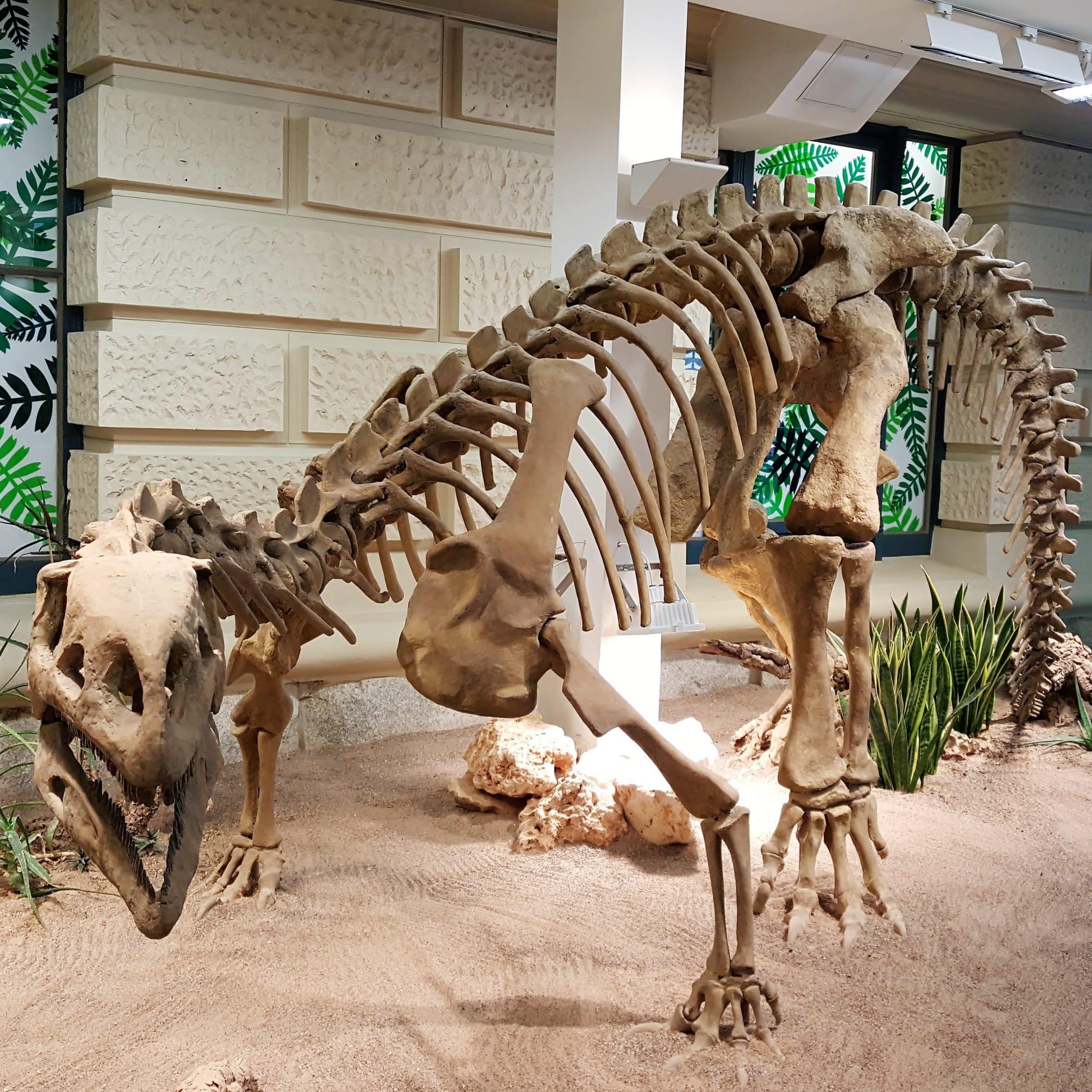 Style Hannover Landesmuseum Naturwelt INSTA - Die besten Freizeit-Aktivitäten für die Familie