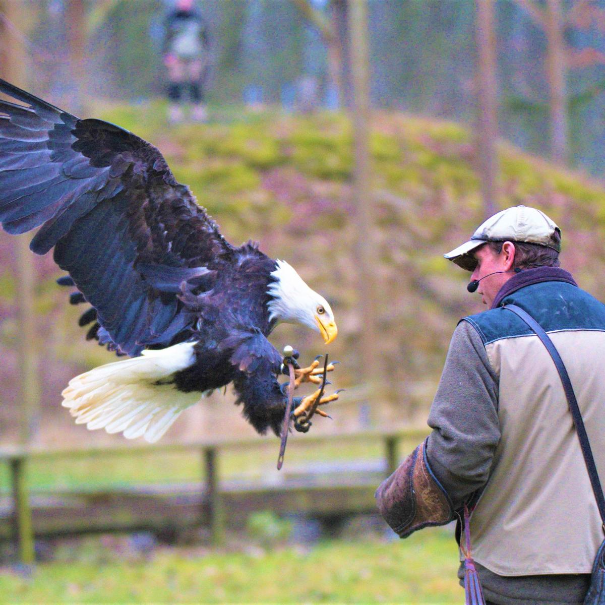 Style Hannover Wisentgehege Springe Flugschau INSTA - Wisentgehege Springe - Wo das Herz der Natur schlägt