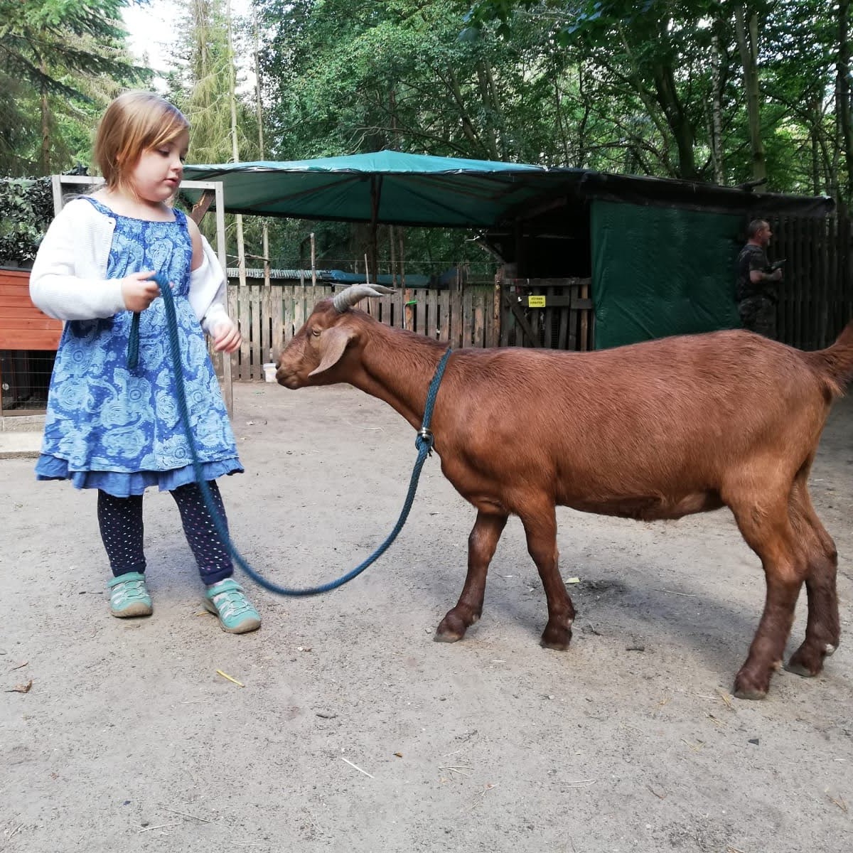 style hannover heim fuer tiere 10 - Heim für Tiere - Gnadenhof & Tierpension