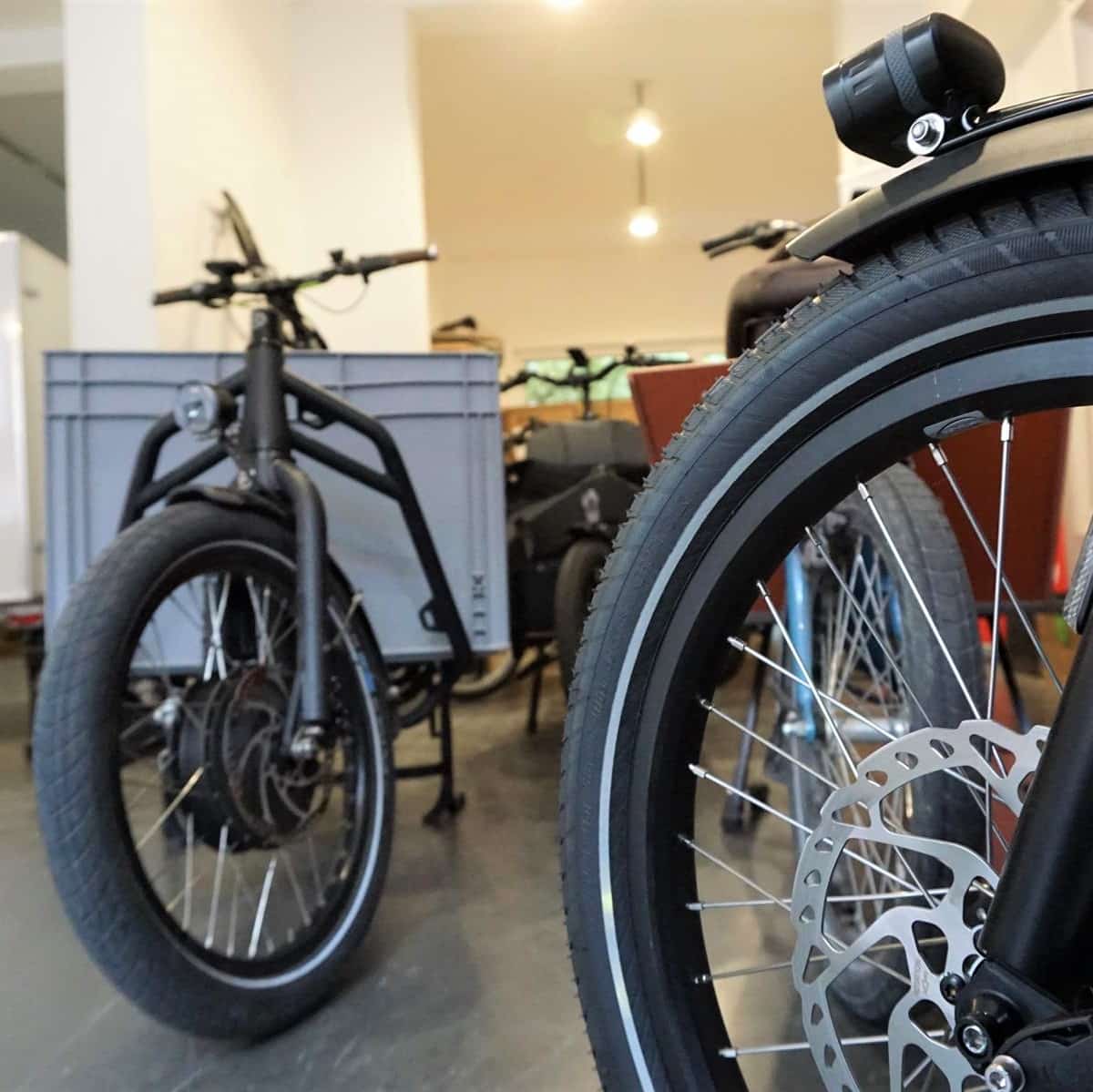 style hannover velogold INSTA - Local-Online