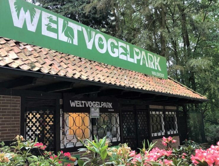 Style Hannover stellt den Weltvogelpark vor.