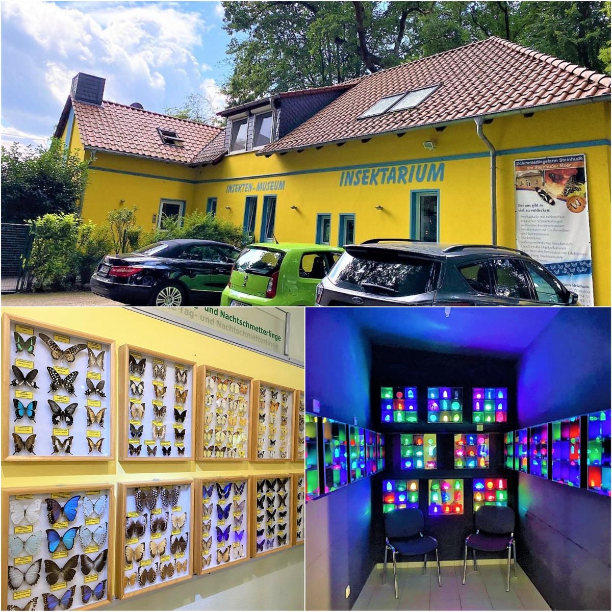 style hannover schmetterlingsfarm Collage 4 - Schmetterlingsfarm Steinhude - Ohne Glas und Gitter