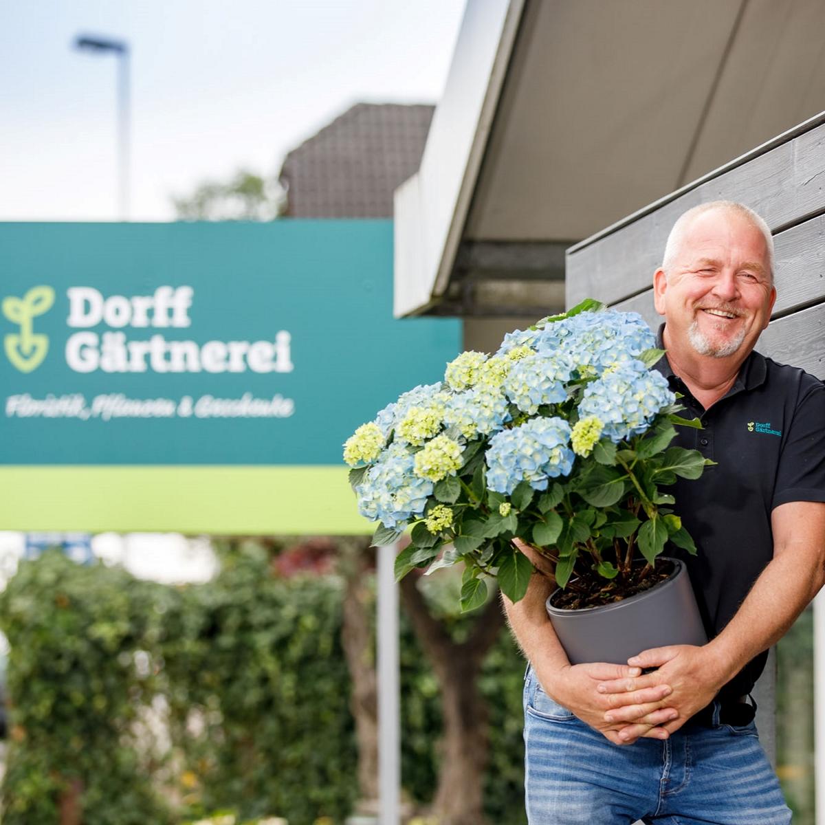 Style Hannover Dorffgaertnerei 2 - Dorffgärtnerei – ein Teil von Wahrendorff