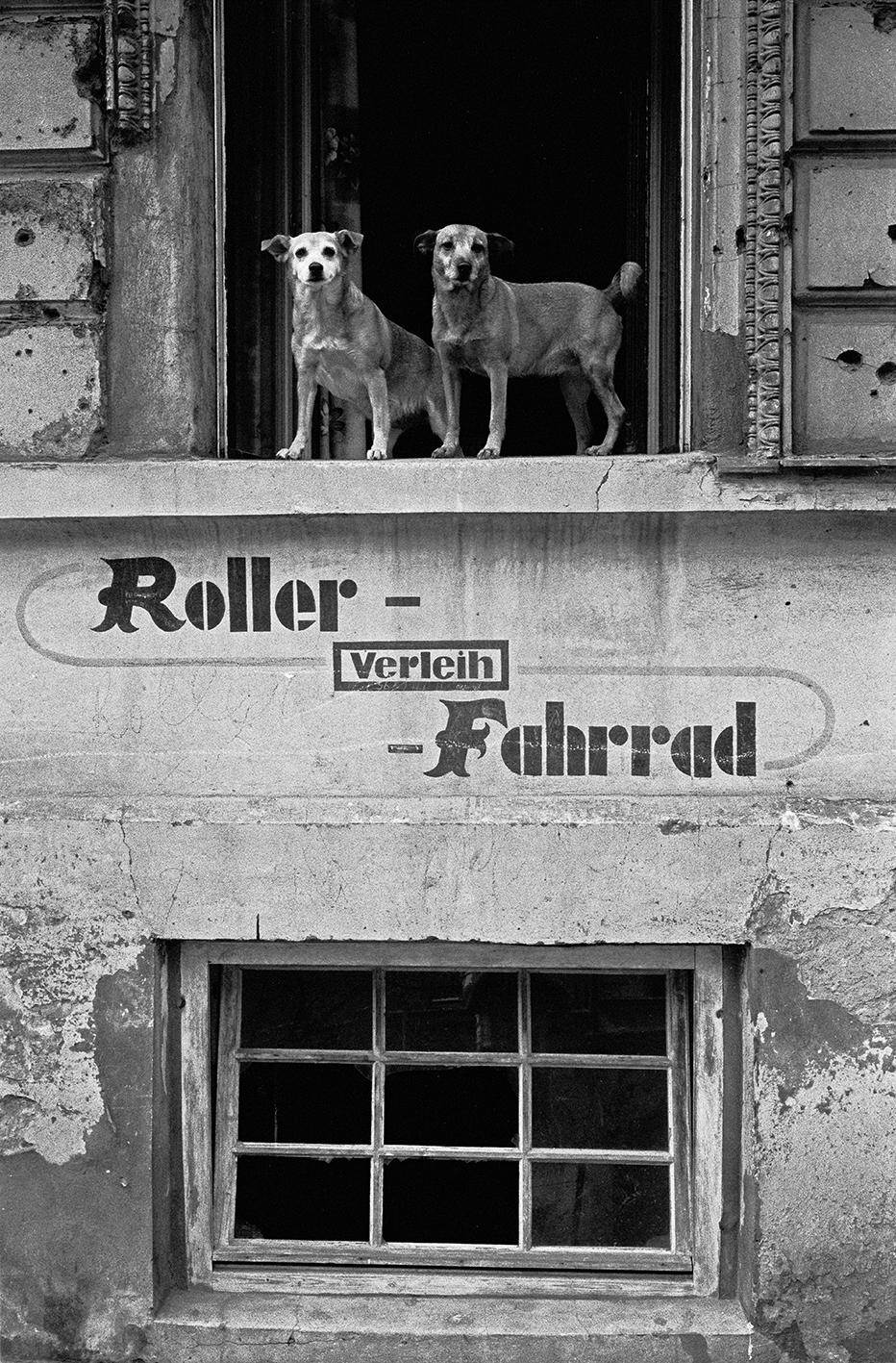 GAF - Hansgert Lambers Fotoausstellung bis 4.05.2025 style hannover gaf hansgert lambers 1 - GAF - Hansgert Lambers Fotoausstellung bis 4.05.2025