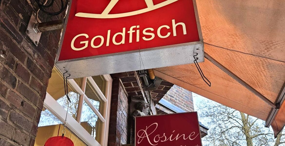 style hannover goldfisch kind 8 1170x600 - Home - Style 5